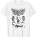 Insect Bug Collection T-Shirt - Moth, Stag Beetle, Cicada