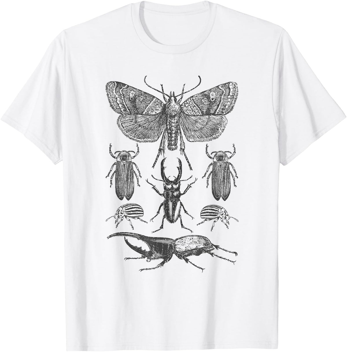 Insect Bug Collection T-Shirt - Moth, Stag Beetle, Cicada